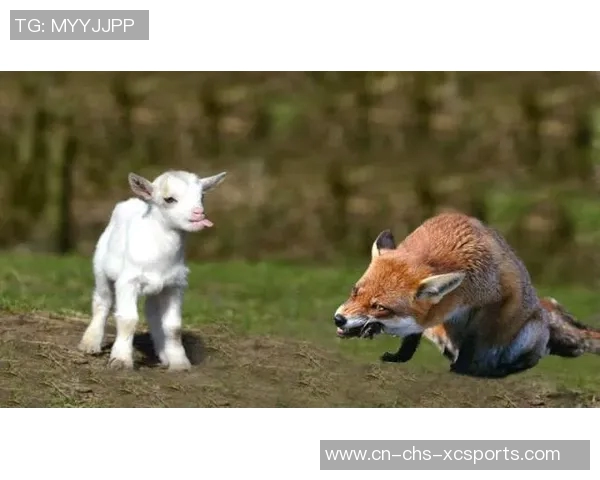 比利时与英格兰激战正酣谁将赢得这场足球盛宴的胜利